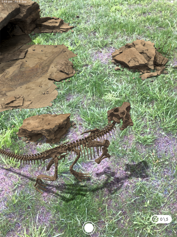 Famous Fossil iPad screenshot 7 - Entertainment app