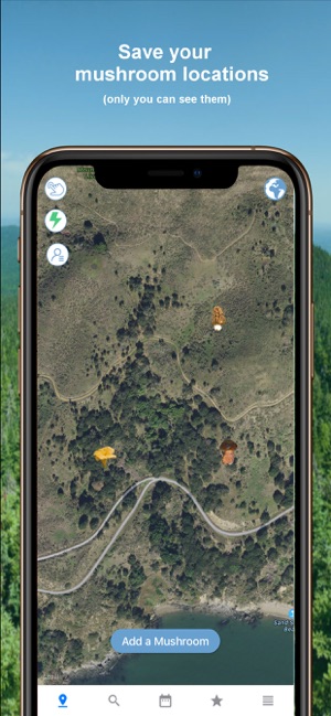 Mushroom Identificator(圖4)-速報App
