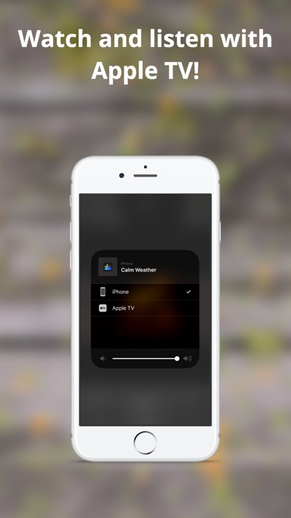 Calm Weather screenshot-4