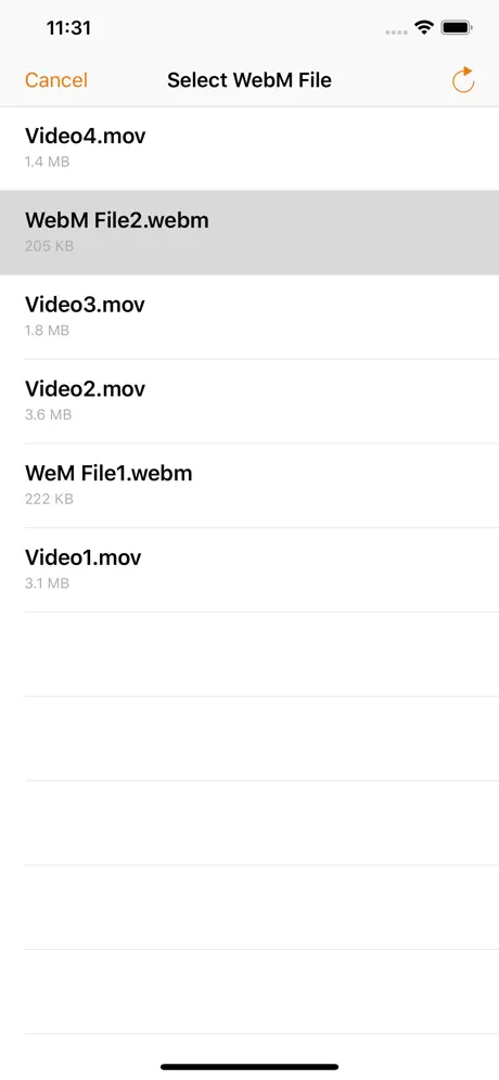 Video 2 WebM Cross Converter