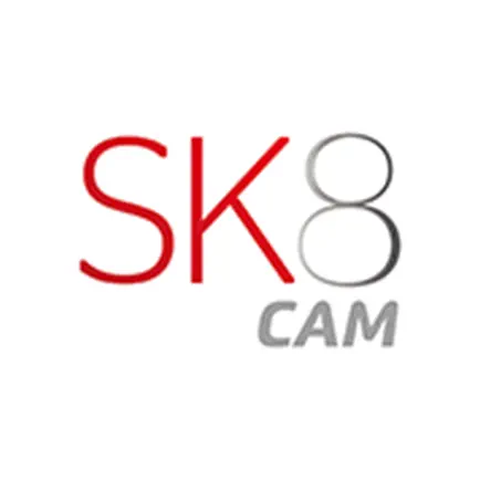 SK8 Pro Читы