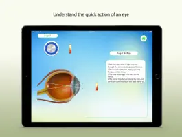 Game screenshot Human Eye Receptors 2 apk