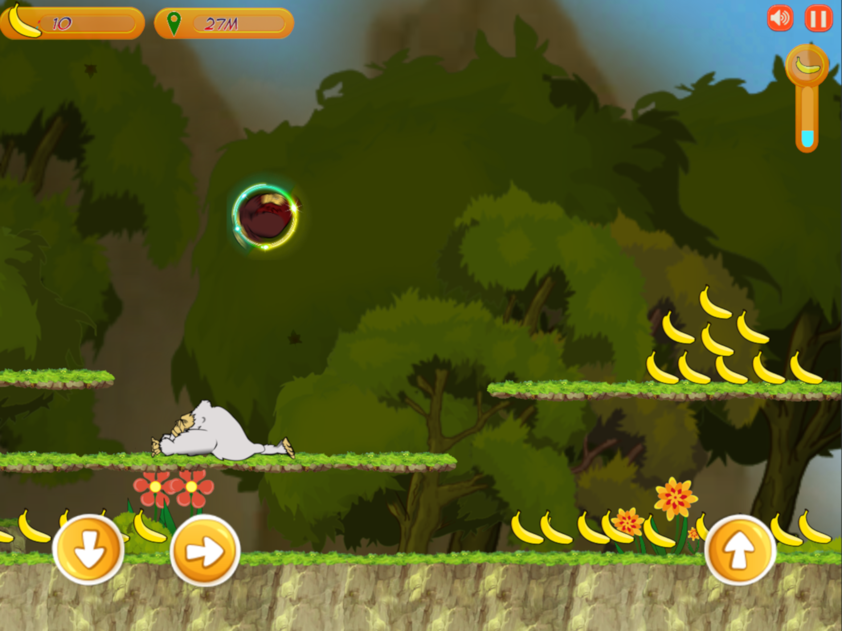Monkey Kong Adventure
