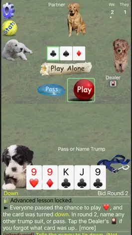 Game screenshot K9 Euchre: Trick Card Game hack