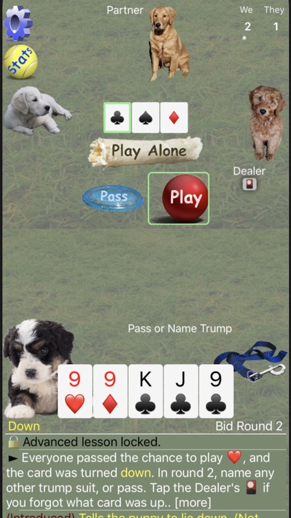 K9 Euchre