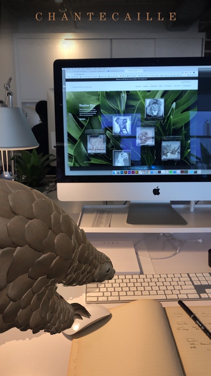 Chantecaille Wild Beauty