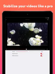 deshake - video stabilization ipad resimleri 1