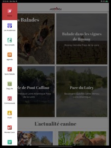 Capture d'écran