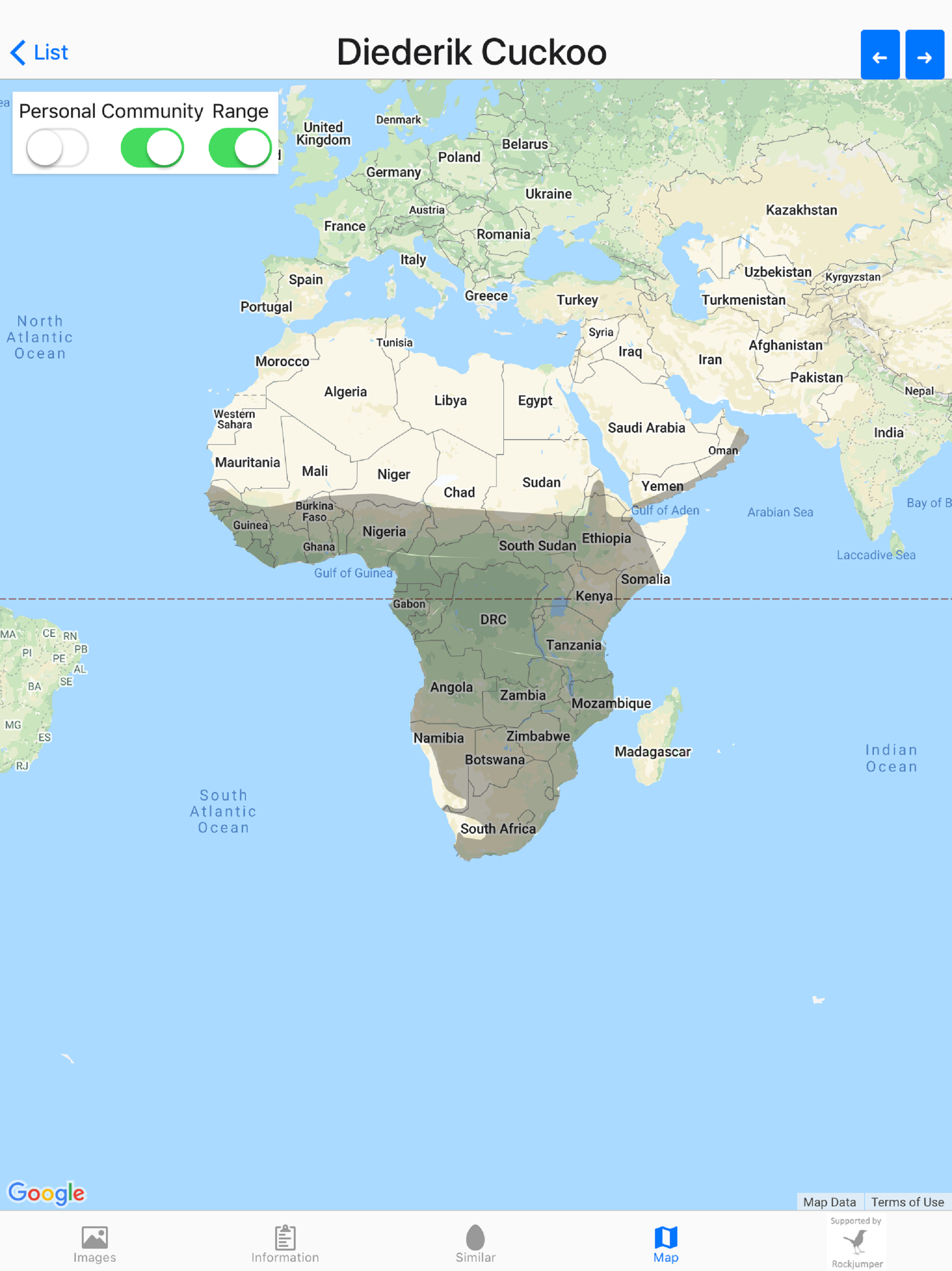 Birds of Africa