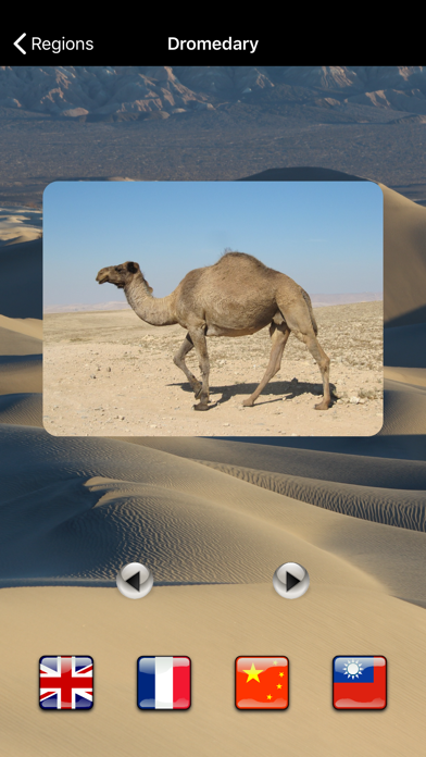 Screenshot #1 pour Animals Home