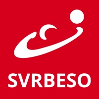 SVRBESO Volleyball PC 용