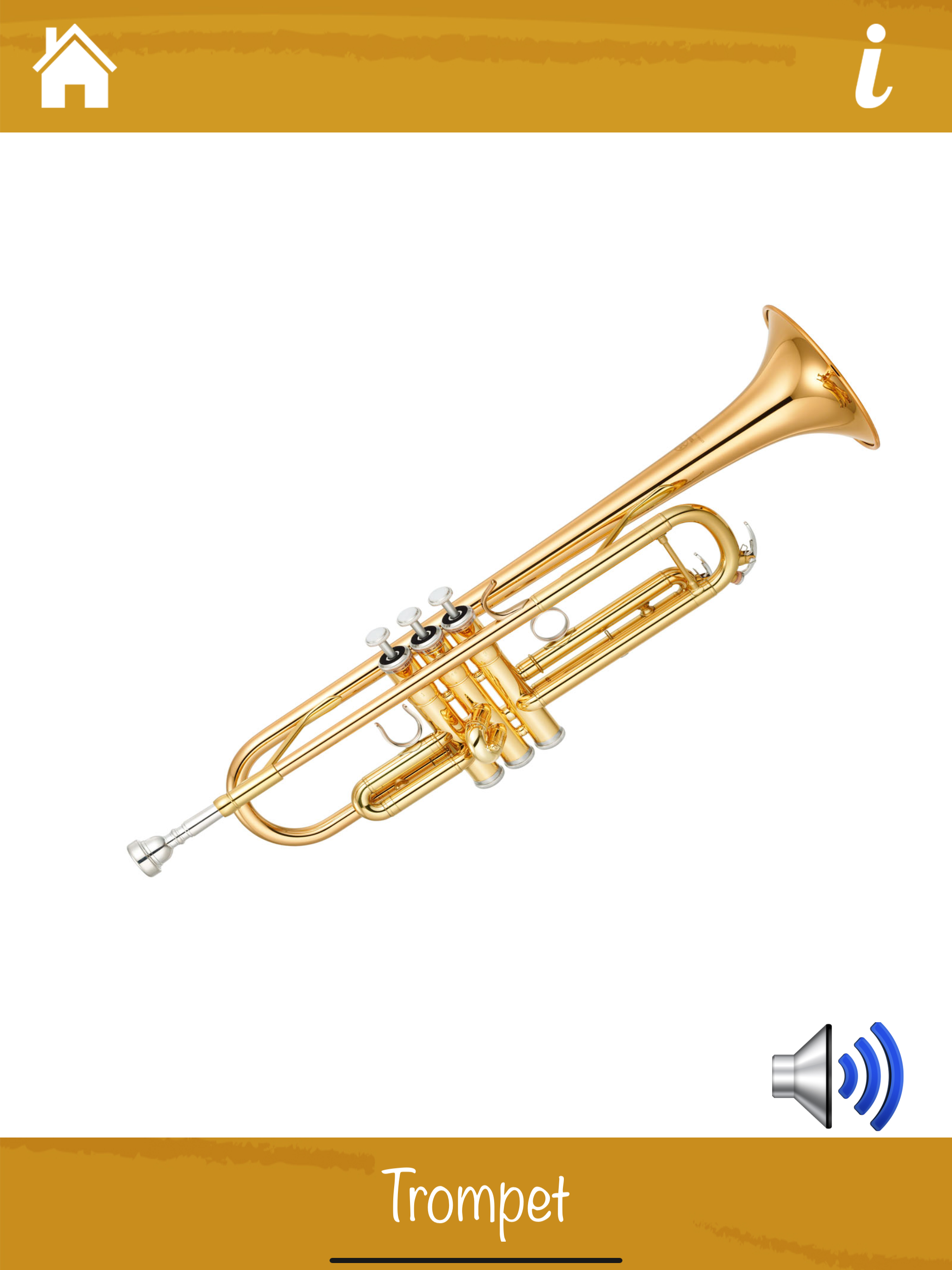 Müzik Aletlerini Öğreniyorum