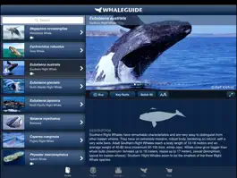 Game screenshot WhaleGuide for iPad mod apk