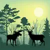 Forest Animals Simulator Positive Reviews, comments
