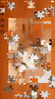 cat puzzles iphone screenshot 2