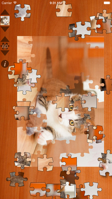 Cat Puzzles Screenshot