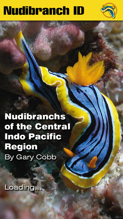 Nudibranch ID Indo Pacific Screenshot
