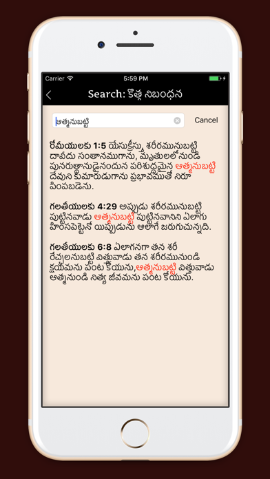 Telugu Bible Indian Version Screenshot