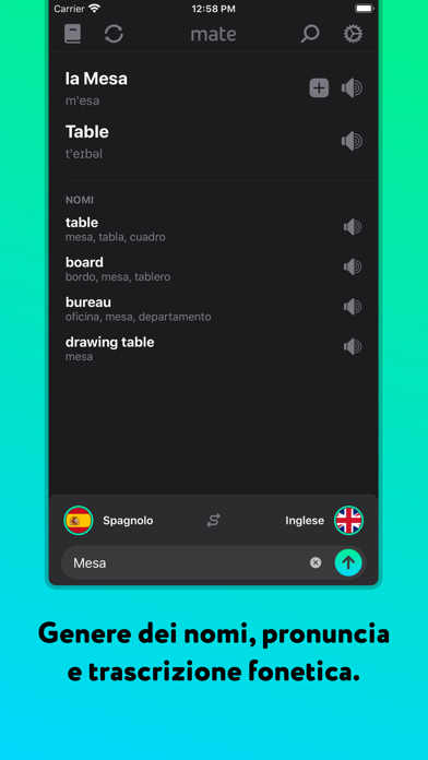 Traduttore offline di Mate Schermata dell'app