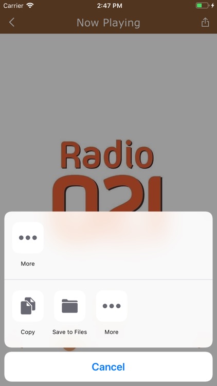 Serbian all time Radio screenshot-4