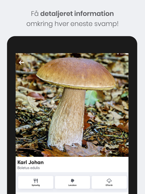 Shroomi - Danske Svampe App Store preview screenshot 13