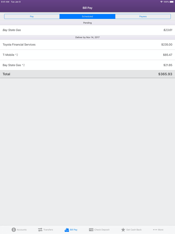 Bank5 Connect Mobile iPad screenshot 6 - Finance app