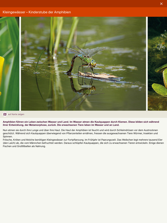 wegbar iPad screenshot