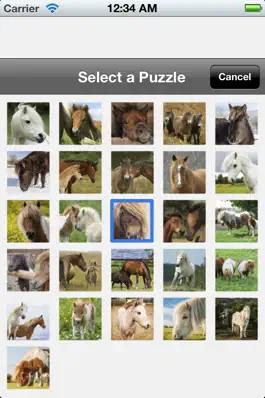 Game screenshot Pony Puzzles hack