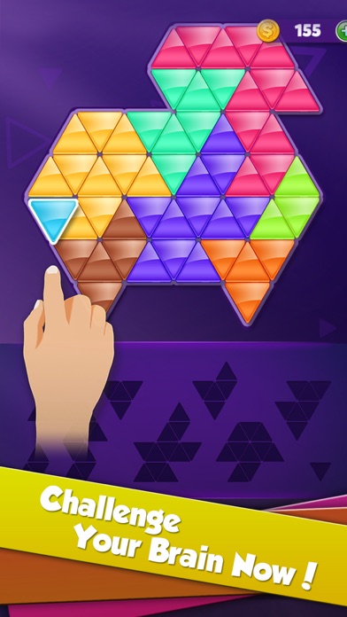 Block! Triangle puzzle:Tangram screenshot 4