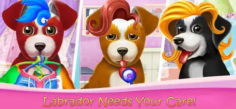 Fluffy Labrador Puppies Salon
