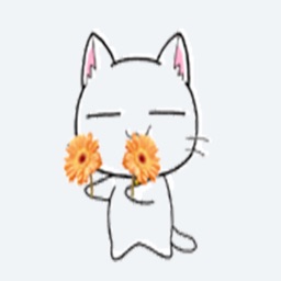 Chrysanthemum teaches cats