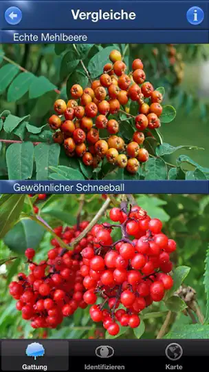 Screenshot von Baum Id Deutschland auf dem iPhone 2