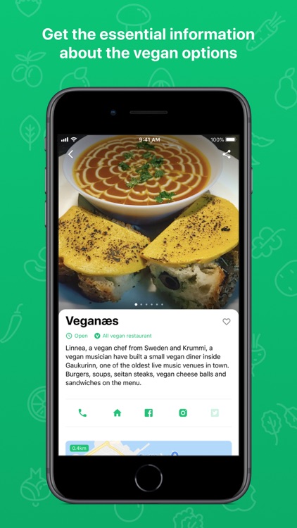 Vegan Iceland screenshot-4