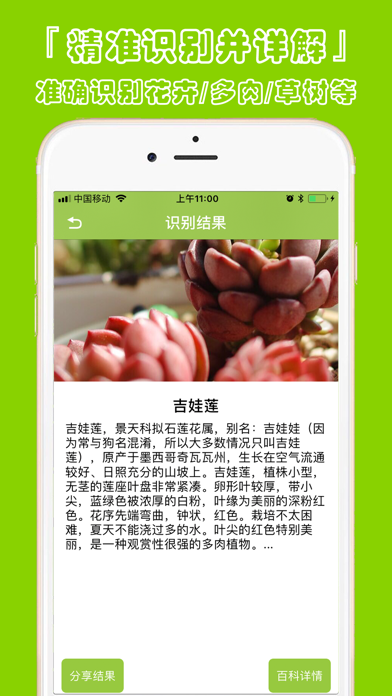 植物识别-拍照识花草树木神器 screenshot 3