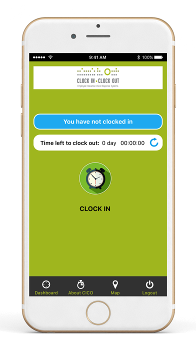 CLOCK IN CLOCK OUT Screenshot