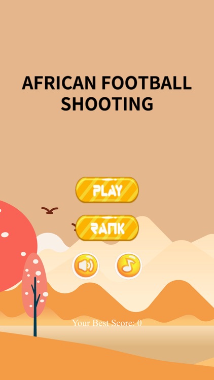 African Football Shooting