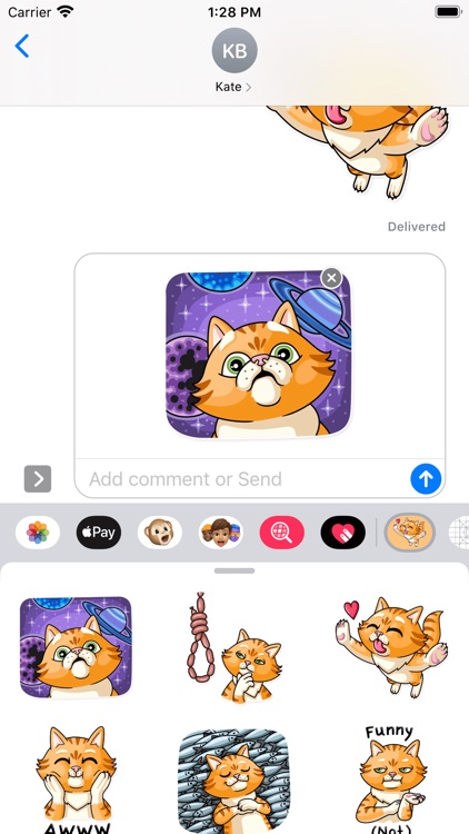 顽皮波纹猫 screenshot-4