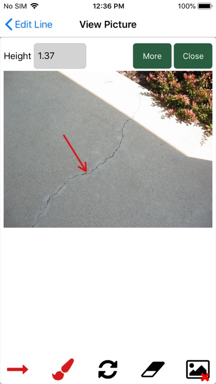 Palm-Tech Plus screenshot-6