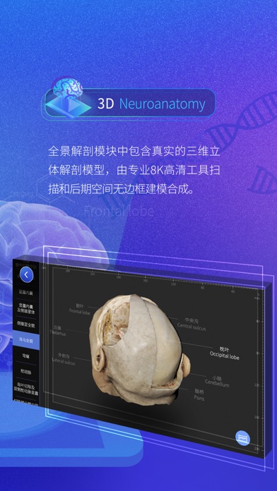 脑外科XR app screenshot 3