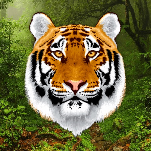 Growl - Tiger Sounds icon