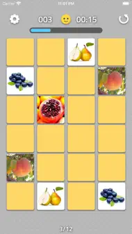 Find The Pairs iphone bilder 3