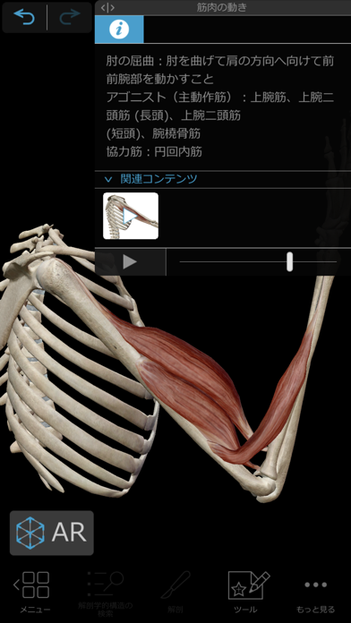 筋肉とキネシオロジー ScreenShot1