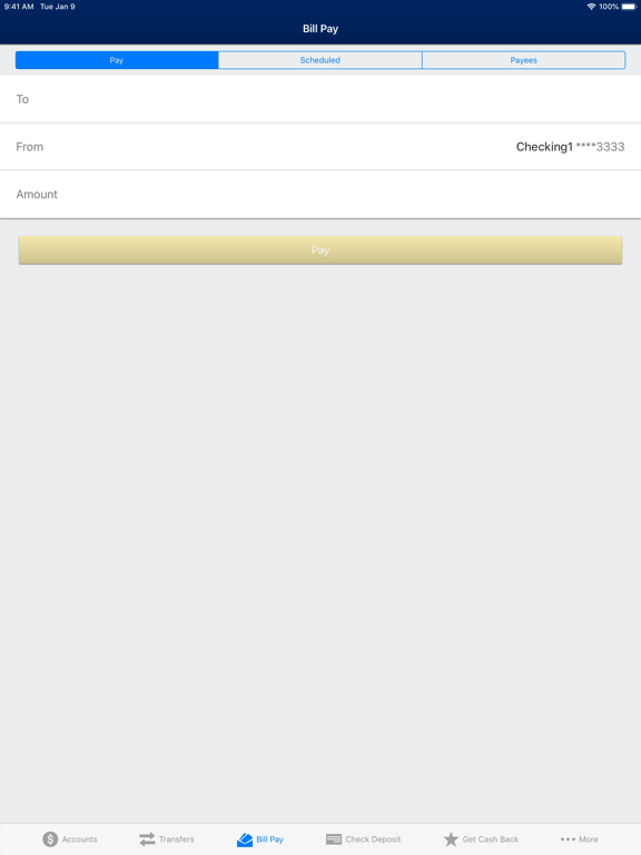Bank of Dudley Mobile Banking iPad screenshot 5 - Finance app