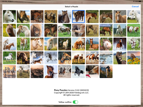 Screenshot #5 pour Poneys