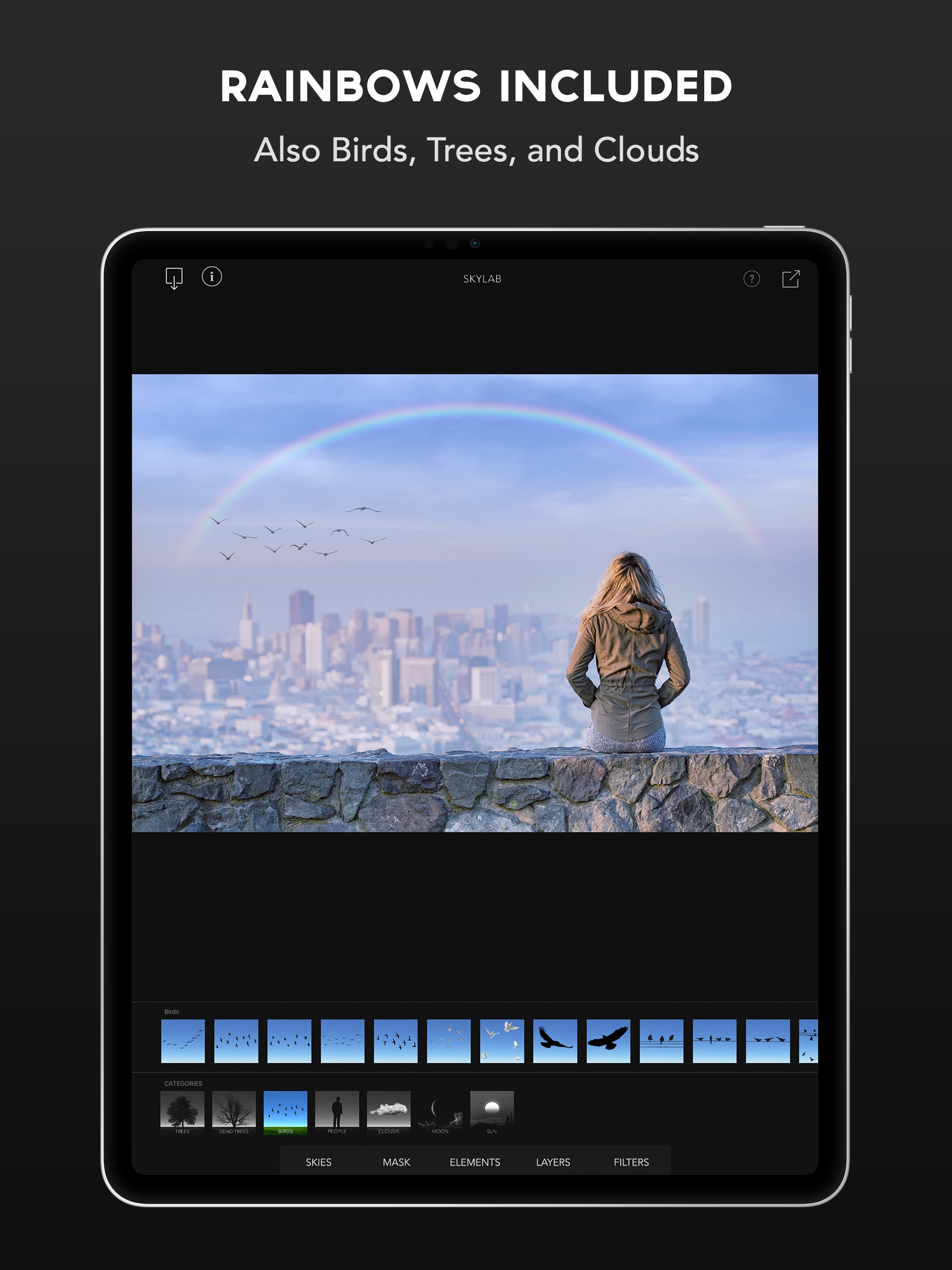 SkyLab Photo Editor