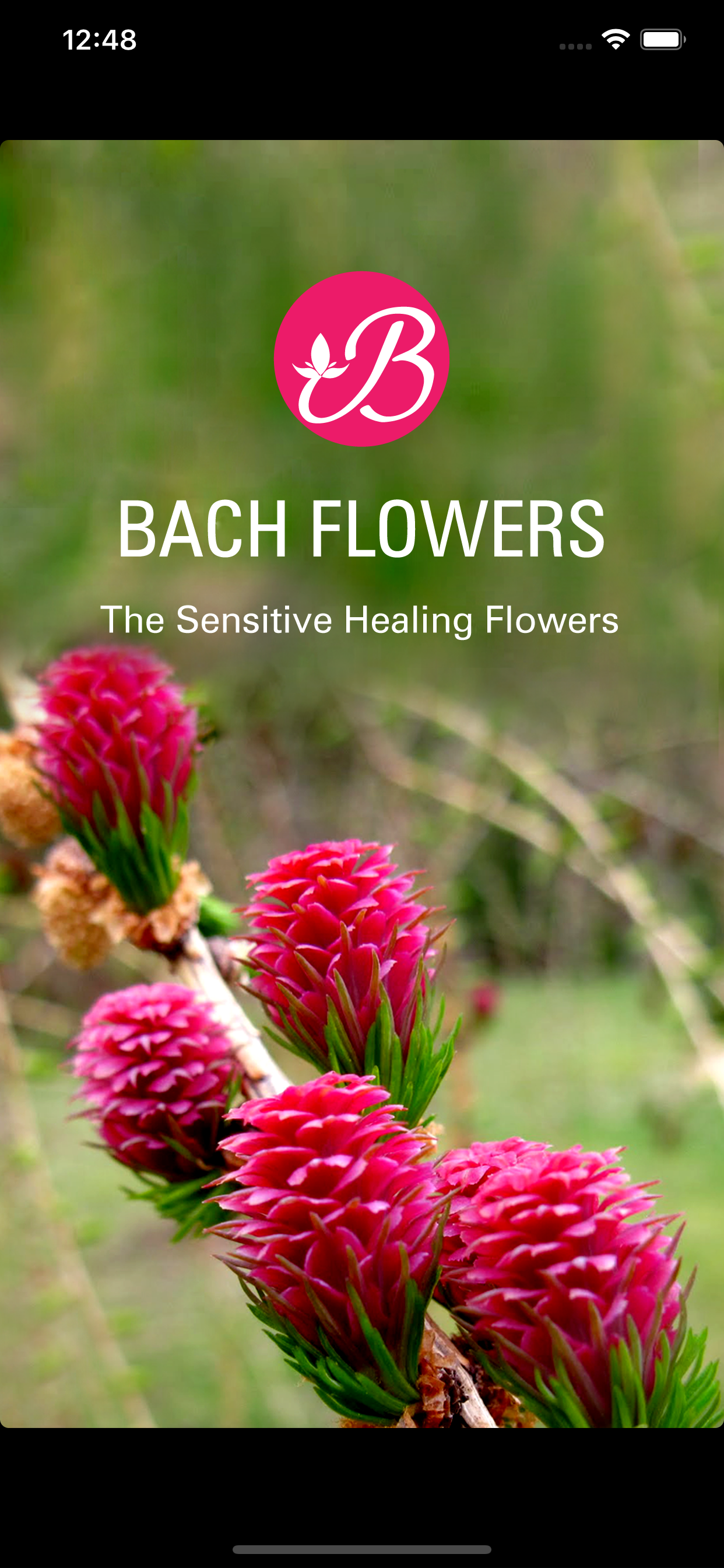 Bach Flowers Remedies