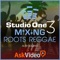 Mixing Roots Reggae with Alex Solano is here