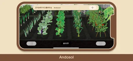 “SOIL“