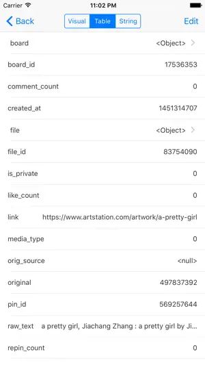 API Debugger screenshot 3