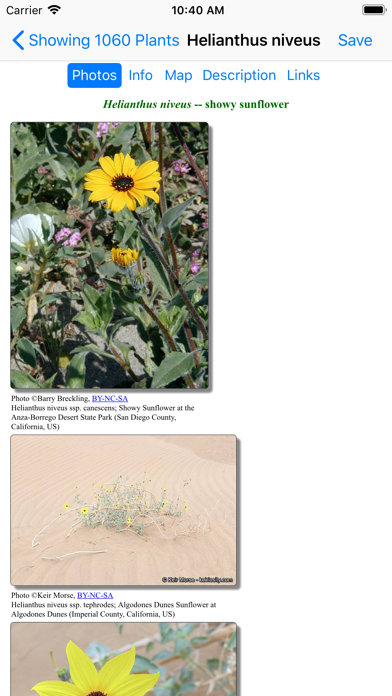 Northwest Mexico Wildflowers Screenshot